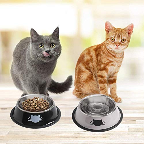 Rapsrk Stainless Steel Cat/Dog Bowls with Rubber Base Non-Slip Kitten/Rabbit/Puppy Dish,Pets Feeder Bowl and Water Bowl