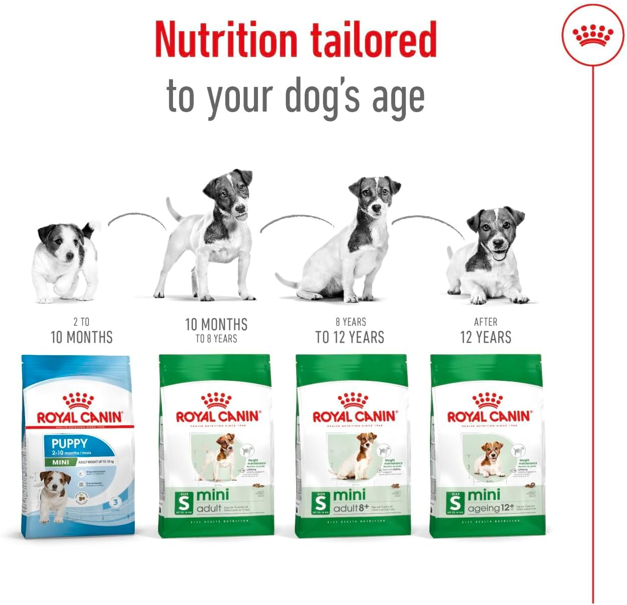 Royal Canin Size Health Nutrition Mini Adult Dry Dog Food - 2Kg