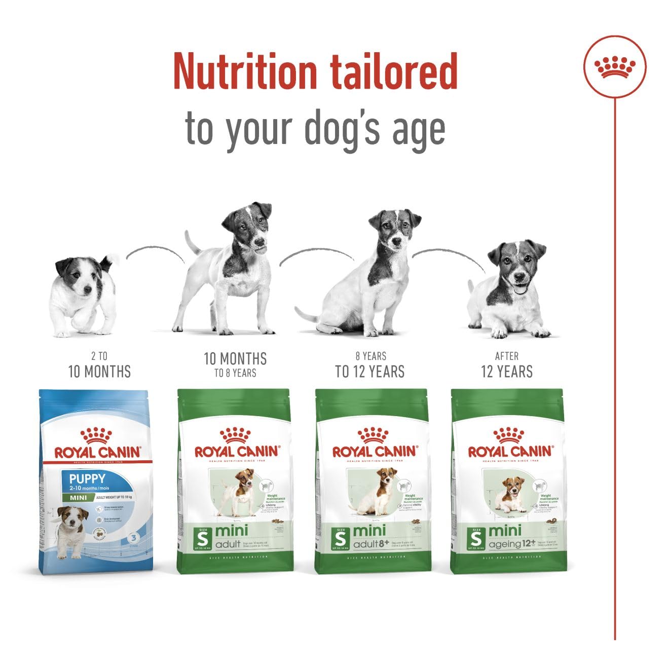 Royal Canin Size Health Nutrition Mini Adult Dry Dog Food - 2Kg