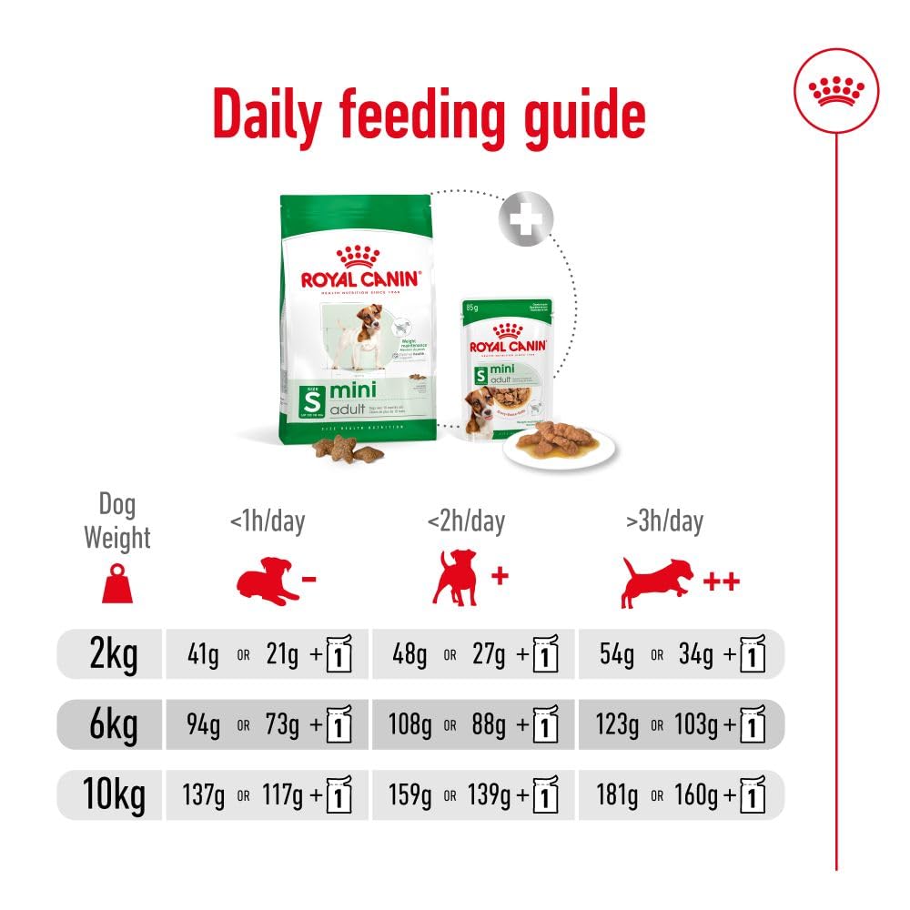 Royal Canin Size Health Nutrition Mini Adult Dry Dog Food - 2Kg