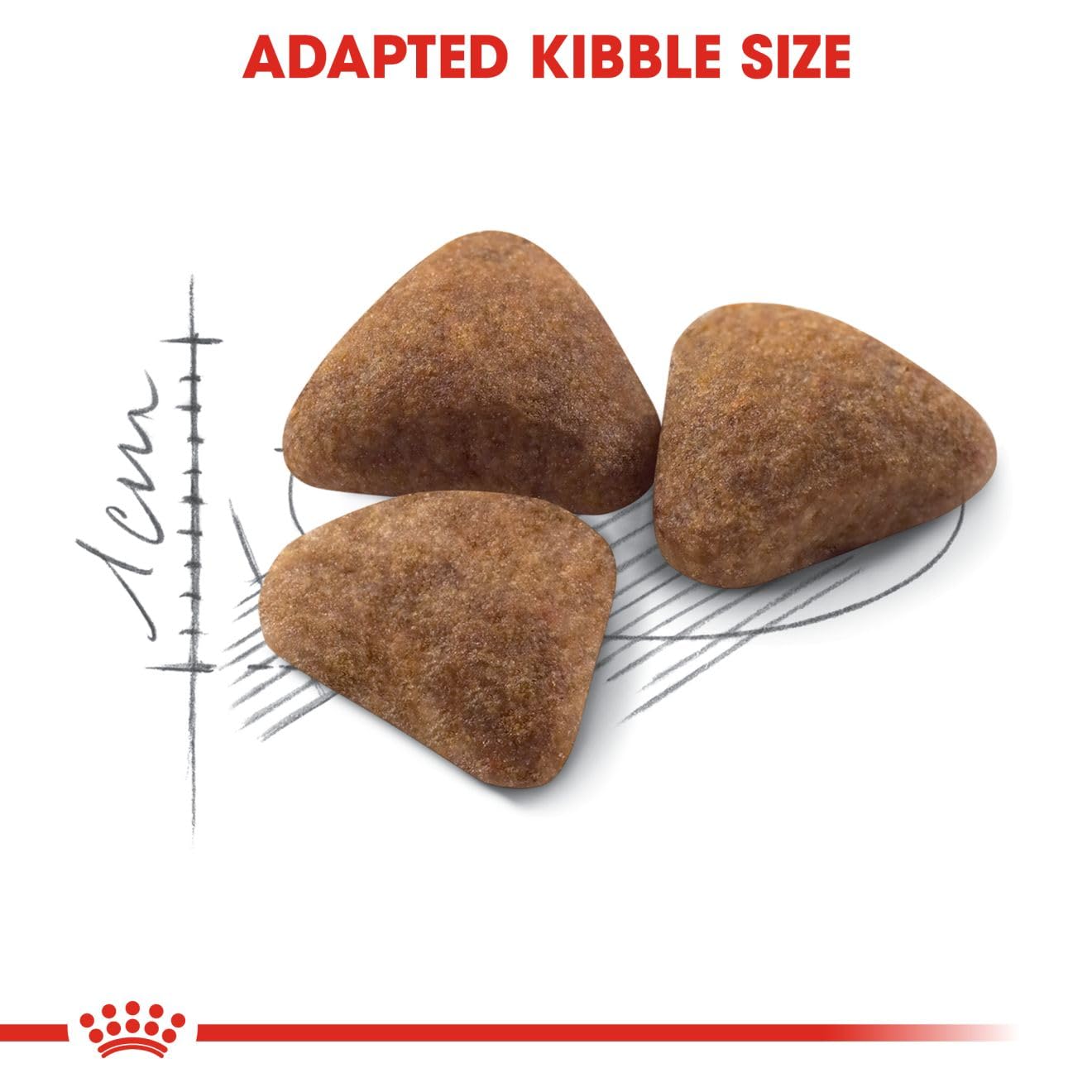 Royal Canin Fhn Feline Health Nutrition Indoor 2Kg Cat Dry Food