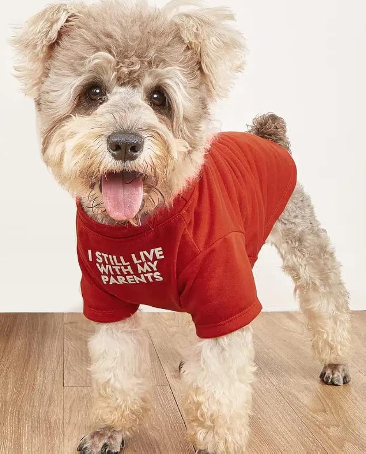 Cute Dog Clothes,Dog T Shirt for Medium Dogs.Dog Clothes for Small Dogs Girl Boy,Puppy.Breathable Soft Dog Costume Pet Dogs Cats,Pet Pullover Jumper,Cat Clothes (S-(4~8lb), Chest~14", Red, Parents)