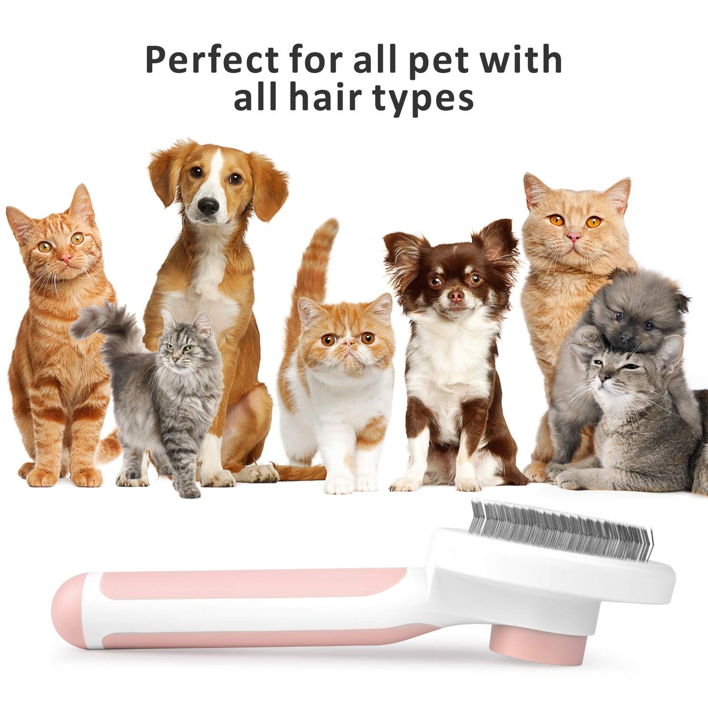 Baytion Pet Grooming Brush, Cats Dogs Brushes for Long Haired & Short Hair, Supple Stainless Steel Bristles Quick Cleaning of the Brush to Remove Tangles Dead Undercoat and Dirt