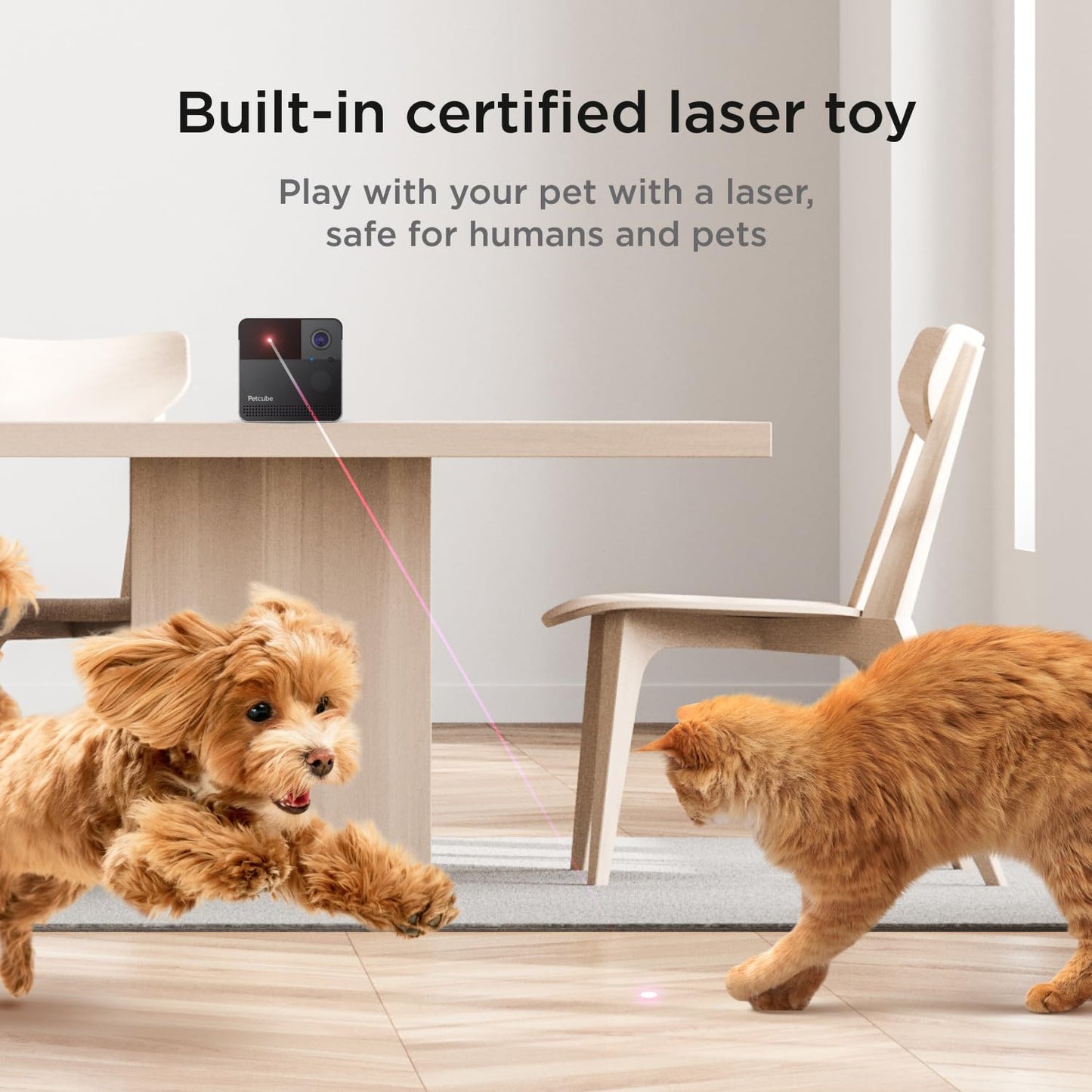 Petcube Cats and Dogs 1080P HD Video 2-Way Audio Sound/Motion Alerts Night Vision Pet Monitoring Wi-Fi Camera with Laser Toy