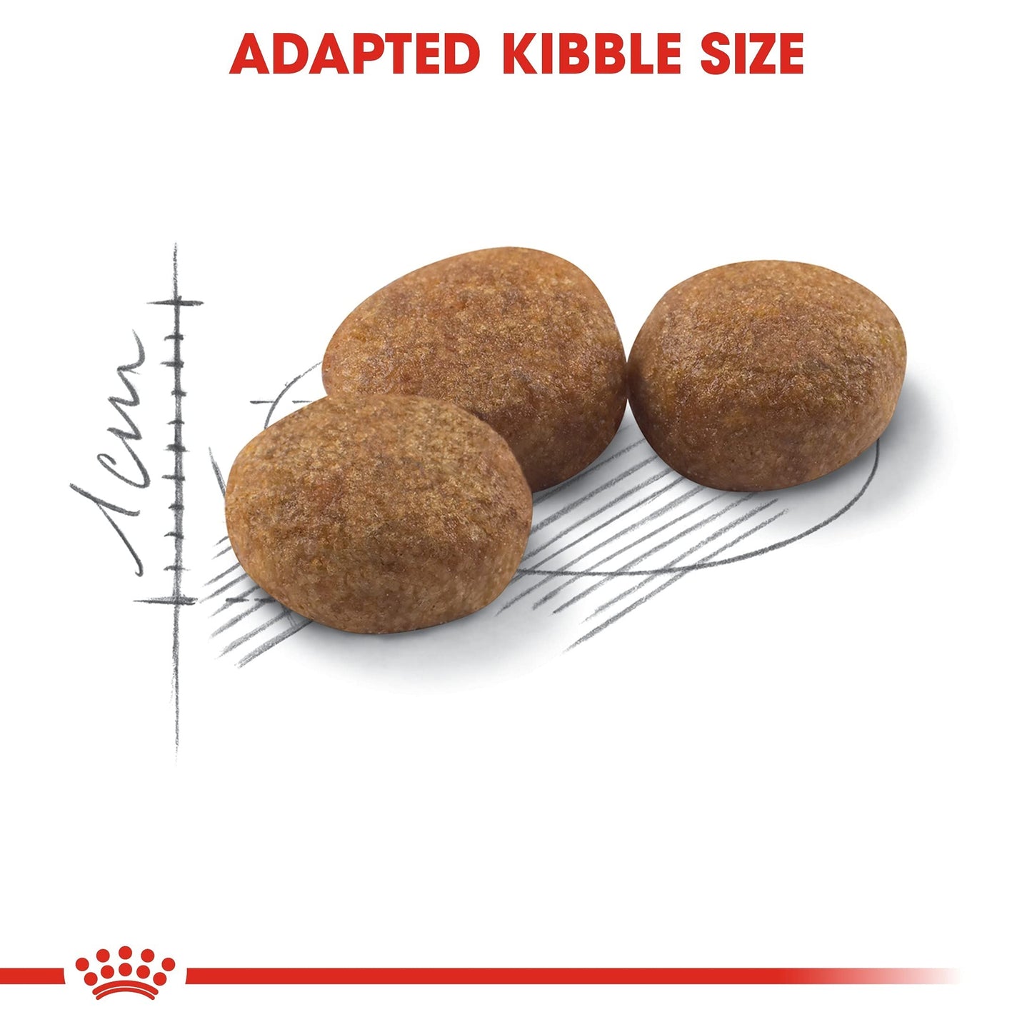 Royal Canin Fhn Feline Health Nutrition Kitten Sterilised 2Kg Cat Dry Food