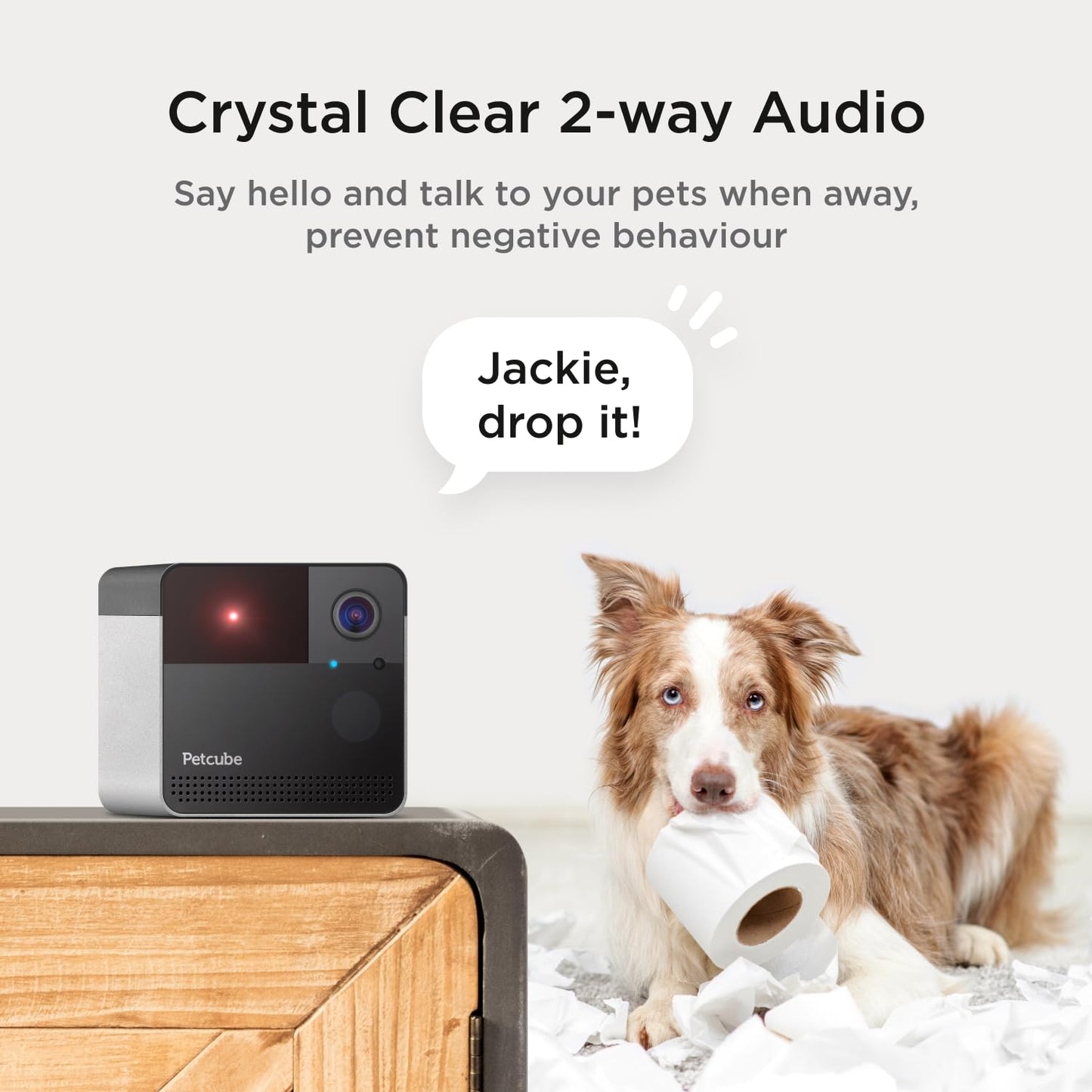Petcube Cats and Dogs 1080P HD Video 2-Way Audio Sound/Motion Alerts Night Vision Pet Monitoring Wi-Fi Camera with Laser Toy