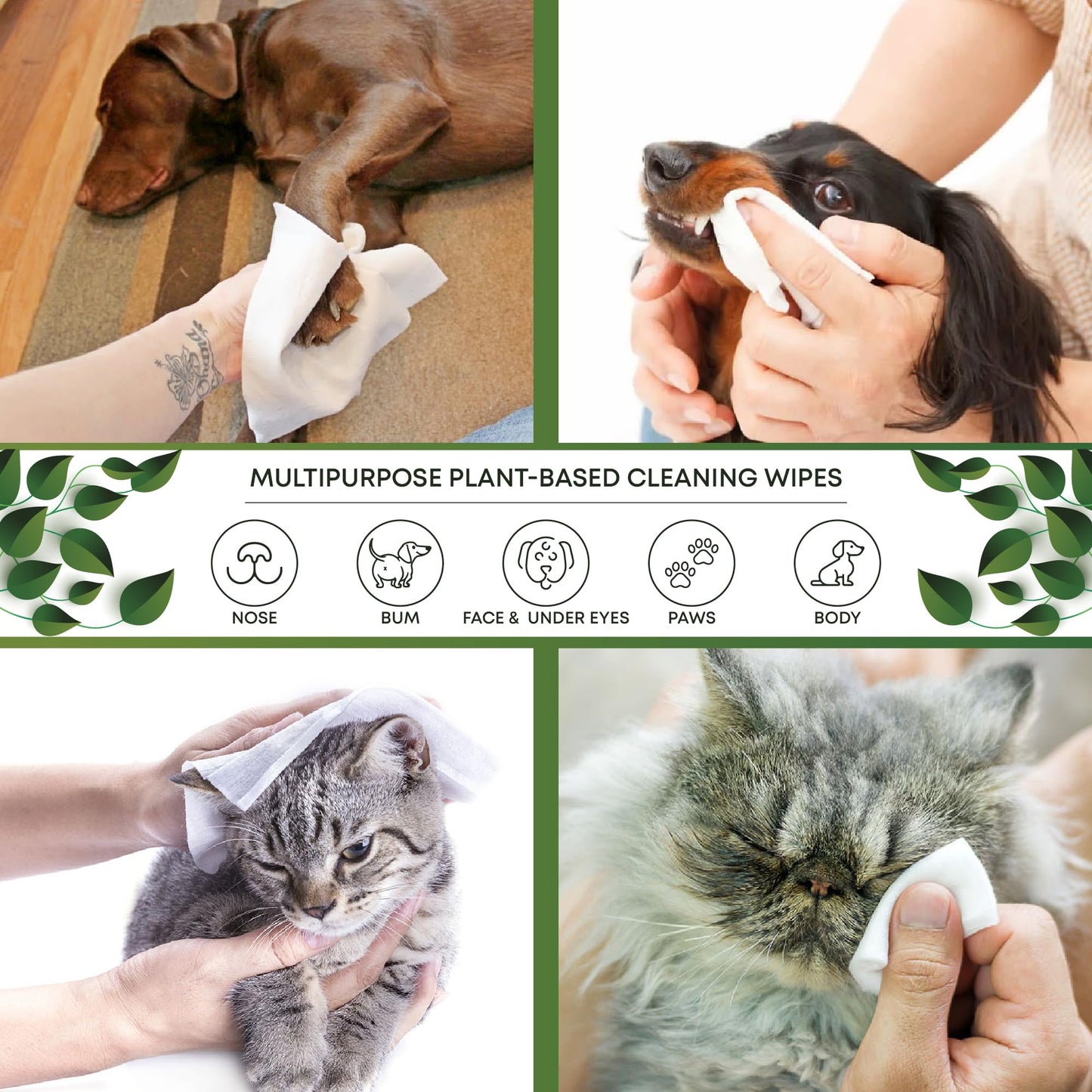 SAWA Dog Wipes, 100 Pcs Thick Plant Based Cat Grooming Wipes For Easy Use on Paws, Body and Bum, Unscented pet wipes