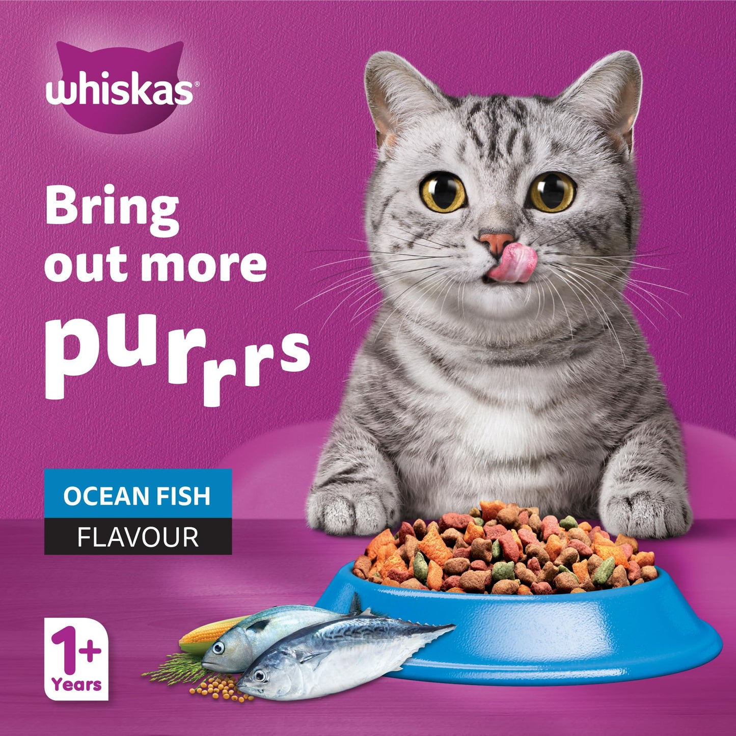 Whiskas Ocean Fish Dry Cat Food, Bag of 1.2Kg, for Adult Cats 1+ Years, Complete Nutrition and Great Taste Cat Dry Food