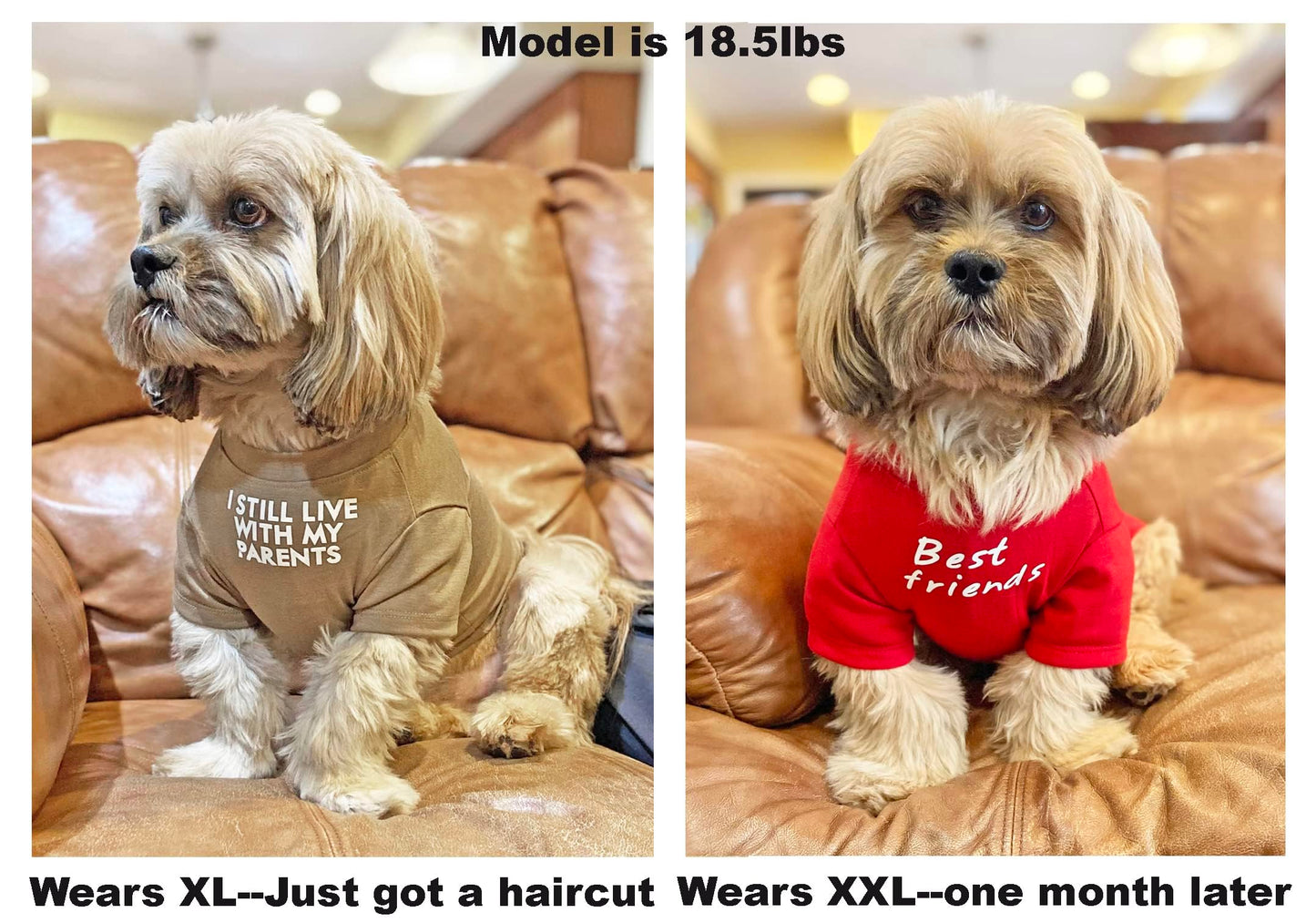 Cute Dog Clothes,Dog T Shirt for Medium Dogs.Dog Clothes for Small Dogs Girl Boy,Puppy.Breathable Soft Dog Costume Pet Dogs Cats,Pet Pullover Jumper,Cat Clothes (S-(4~8lb), Chest~14", Red, Parents)