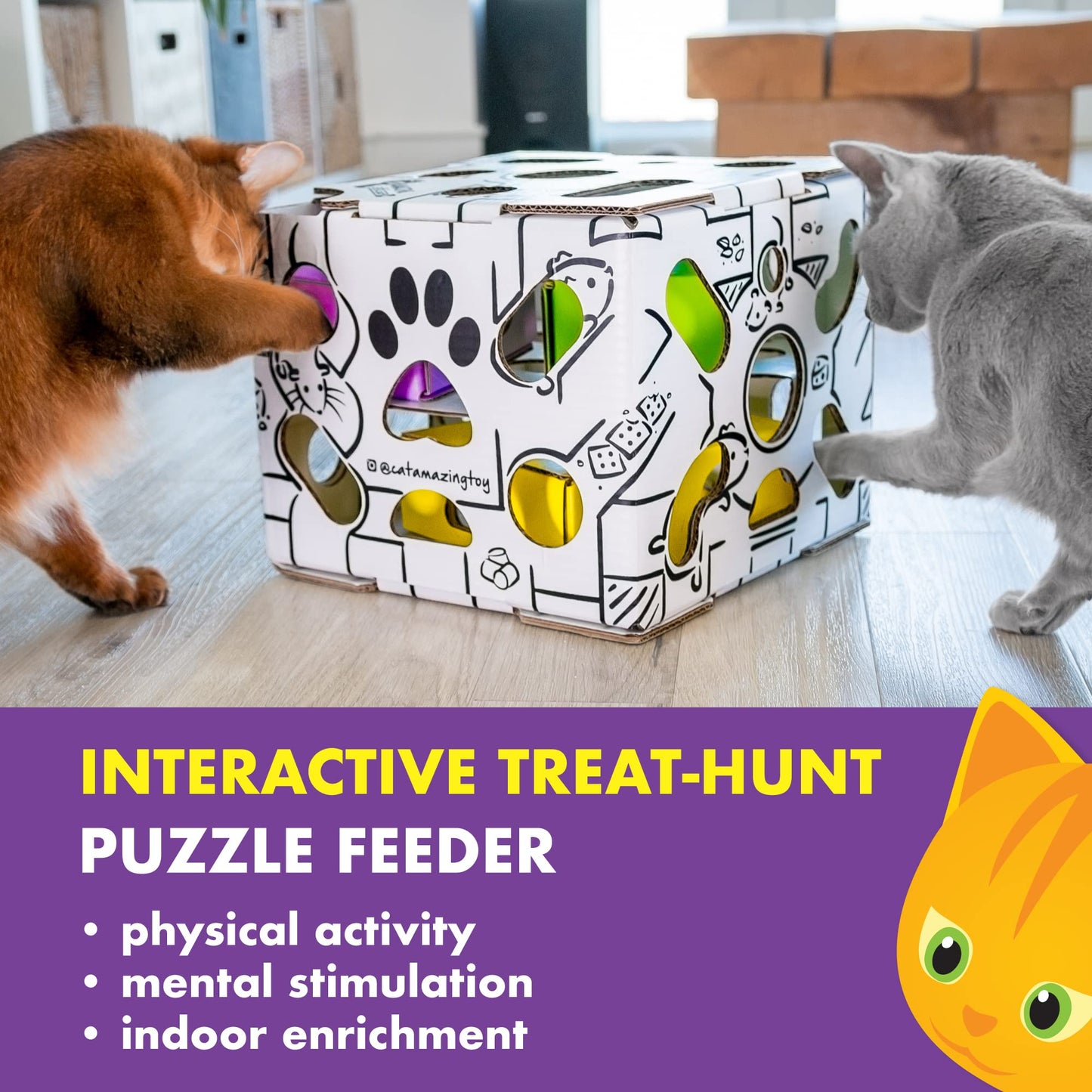 Cat Amazing Sliders β Puzzle Toy for Indoor Cats β Treat Box Interactive Maze β Enrichment Feeder β Best Cat Toy Ever!