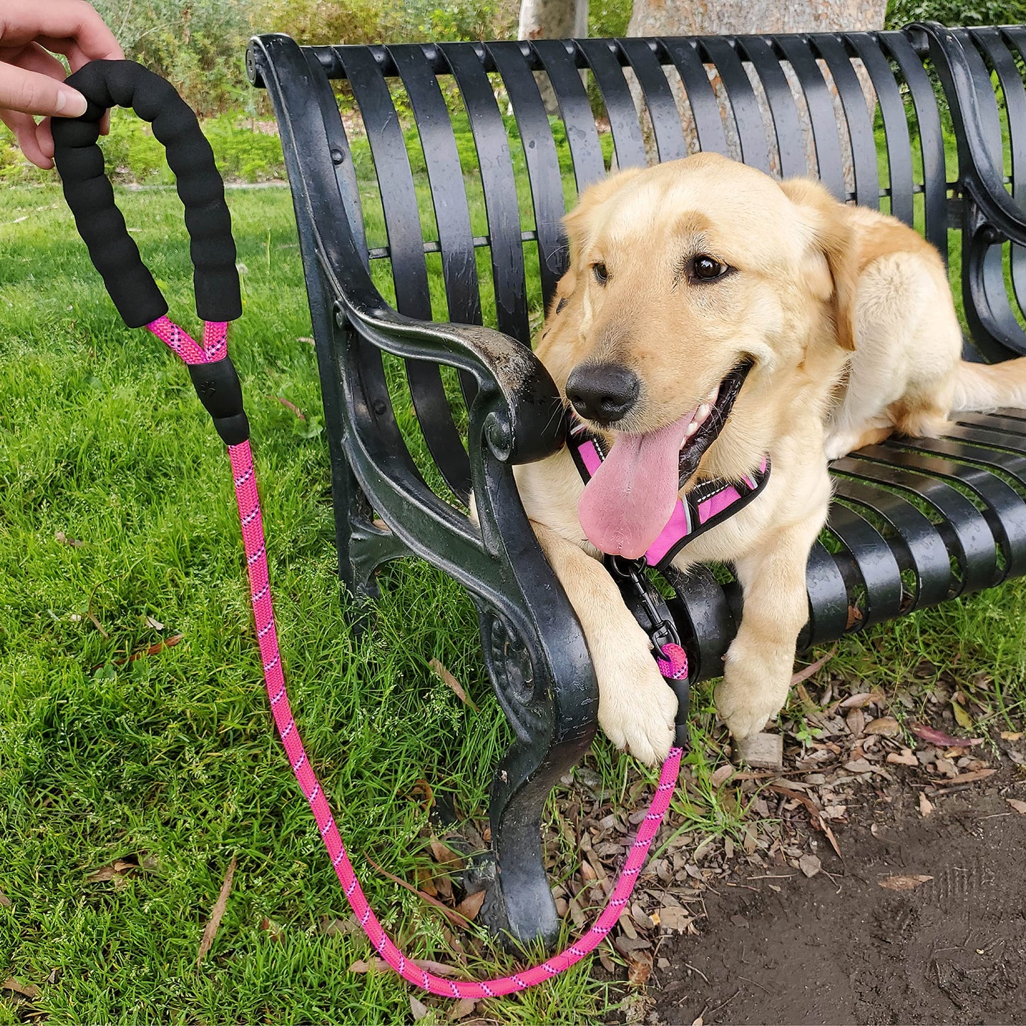 Petmegoo 5ft 1/2in Strong Pink Dog Leash for Large Dogs & Medium Size Dogs - Highly Reflective Heavy Duty Dog Rope Leash with Soft Padded Anti-Slip Handle- for 18-120 lbs Dogs