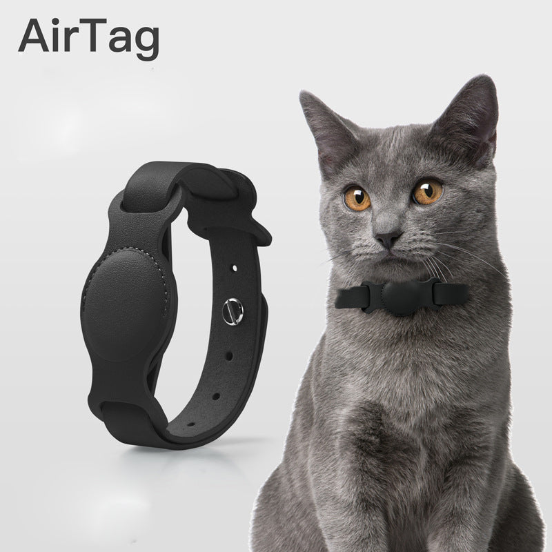 Pawtrack collar 2024