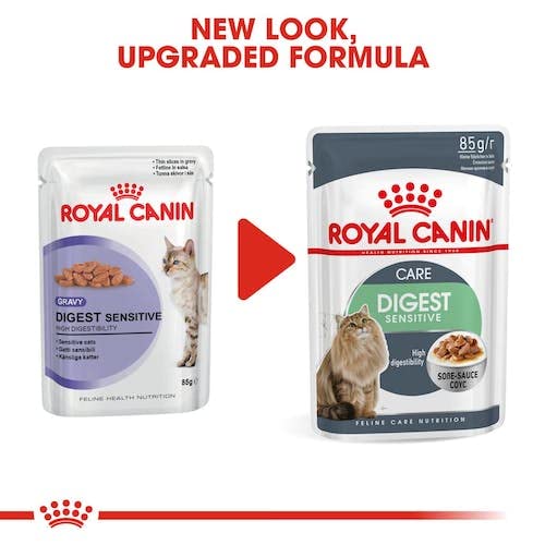 Royal Canin, Digest Sensitive Feline Care Nutrition Cat Food, Gravy, 12 Pouches x 85 grams