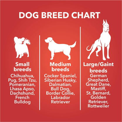 Drools Dog Treat Biscuits, Real Chicken, 800Gm Biscuit | Oven Baked, Crunchy, No Artificial Ingredient, Prevents Tartar Build-Up | Best For Training & Rewarding | For Puppy & Adult Dog