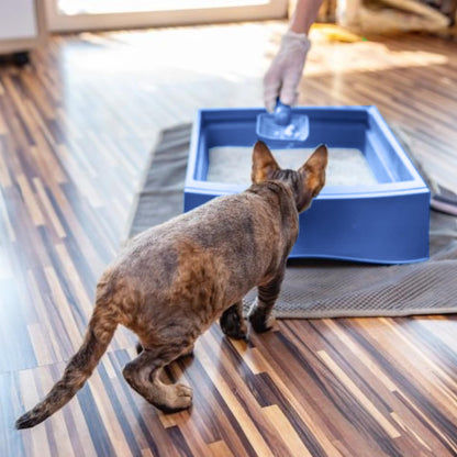 Teo Premium Pet Supplies Felin Cat Litter Clumping 100% Natural Bentonite, Clumping 99.5% Dust Free, Forever Fresh, Pet-Friendly, Fighting with Odors Natural/Odorless Scented (10 L)