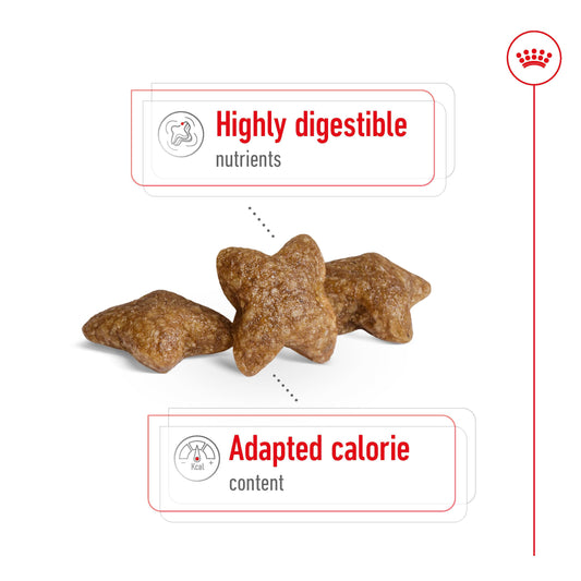 Royal Canin Size Health Nutrition Mini Adult Dry Dog Food - 2Kg