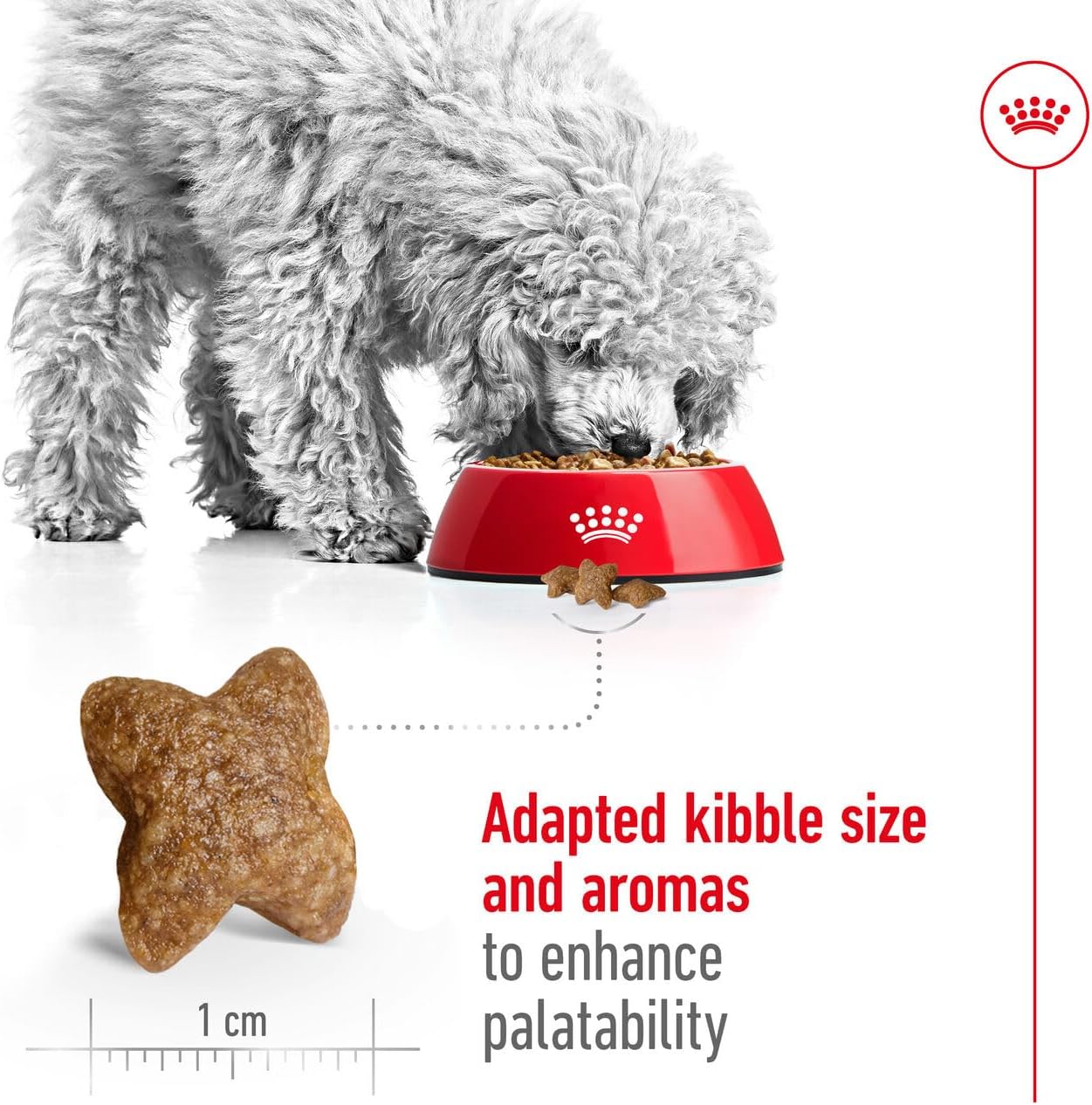 Royal Canin Size Health Nutrition Mini Adult Dry Dog Food - 2Kg