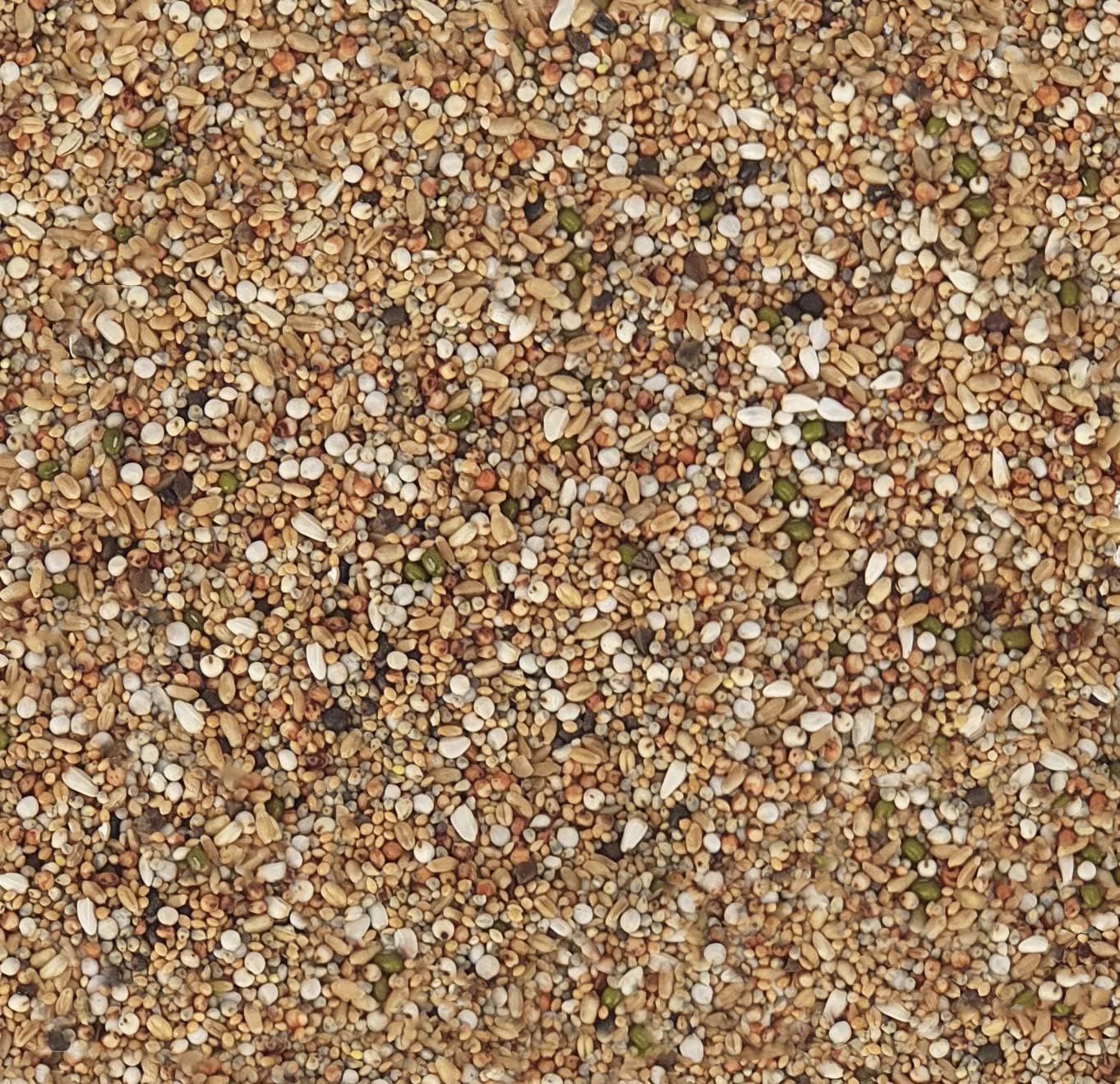 Egardenkart® Economic Bird Food Mix wild bird food Small bird Pigeon Seed mix (10, Small Seeds Mix)