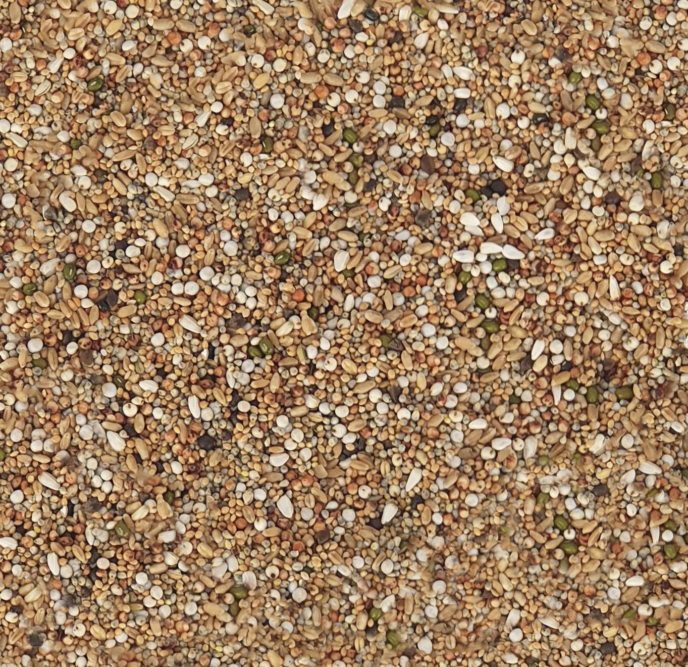 Egardenkart® Economic Bird Food Mix wild bird food Small bird Pigeon Seed mix (10, Small Seeds Mix)