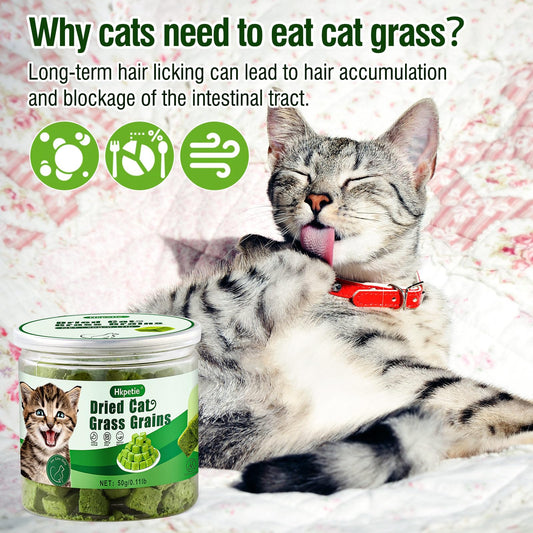 Hkpetie 50g Catnip Cat Grass Toys forIndoor Cats for Hairball Remove and Teeth Cleaning