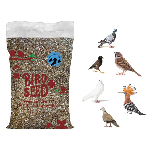 Egardenkart® Economic Bird Food Mix wild bird food Small bird Pigeon Seed mix (10, Small Seeds Mix)
