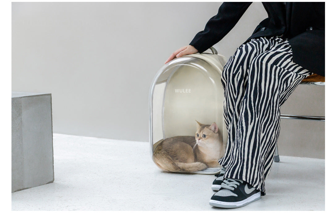 Modern pet carrier cheap