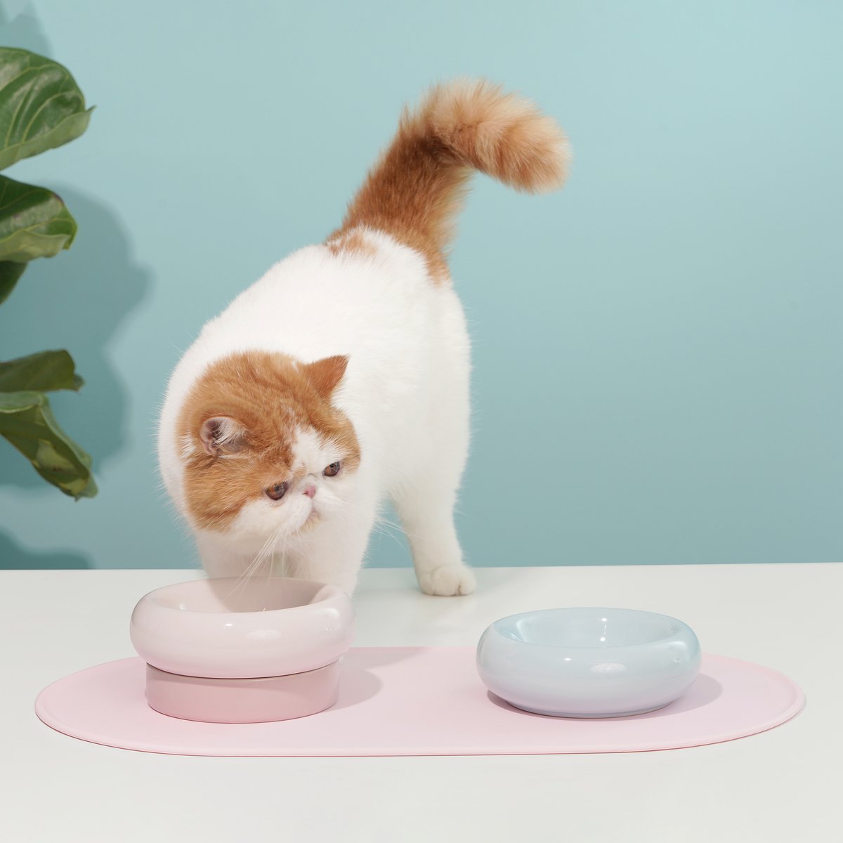 This modern 2 in 1 stackable food bowl is perfect for cats and puppies. Both bowls can be used separately or can be stacked to create a higher dining experience.  Made from durable porcelain material, this safe and pet-friendly bowl has anti-bacterial and heat resistant properties. When stacked the bowls help improve digestion and relieve neck stress. They can also be used separately for multi-pet households.
