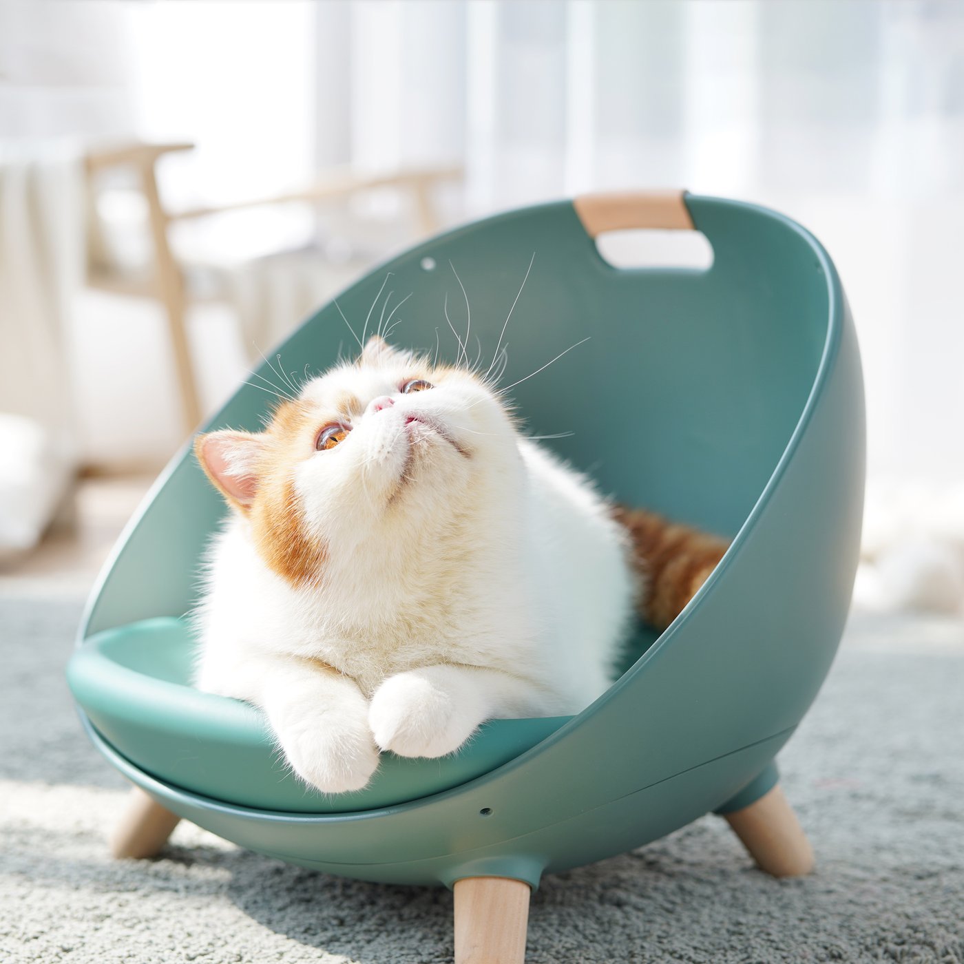 Cats will swing into a comfy snooze with this cat lounger. Comfortable, versatile, and beautifully designed to offer your cat a distinctive napping experience. This lounger can become your cat’s favorite resting spot. It can be used as a swing to help soothe your cat’s stress or as an open chair for a purr-fect afternoon nap. The seat of the lounger is made with a temperature regulation solution that can provide a warmer or cooler sleep based on the season.