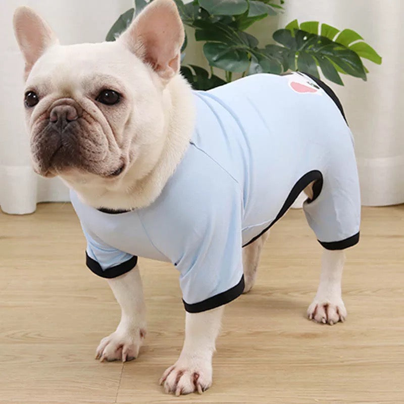 “The Lazy Dog” Dog Pajama, Dog Lounger