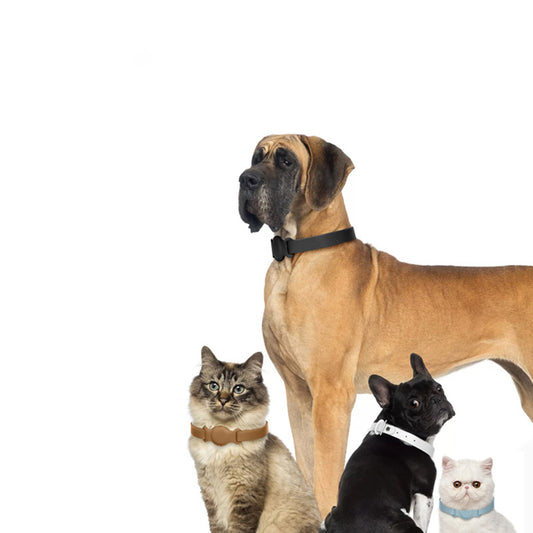 The AirTag Pet Collar is designed with a collar and an Air tag holder compatible with Apple Airtag. The AirTag collar is suitable for dogs and cats and is an excellent solution to keep track of your furry one.