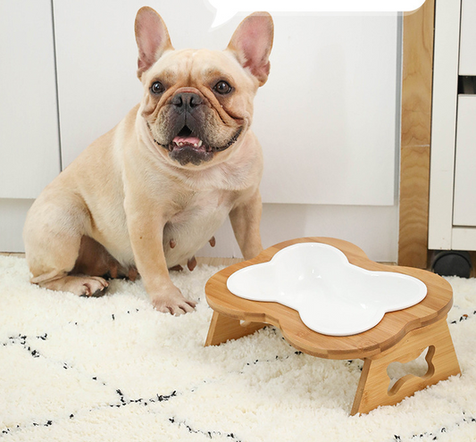 Serve your dog food in this appealing bone shaped bowl. Thanks to its elevation, this dog bowl will help support proper swallowing and healthy digestion. It relieves stress on your dog's shoulders and beck. This bone shaped dog bowl is sturdy, beautifully designed and comes in different colors.